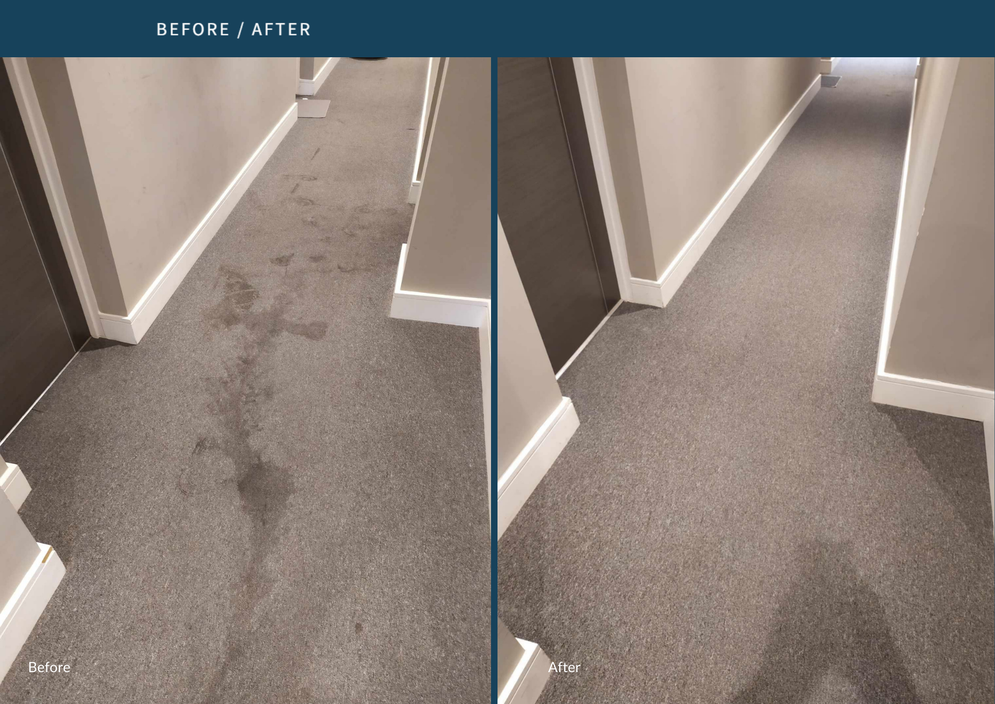 Carpet cleaning before and after